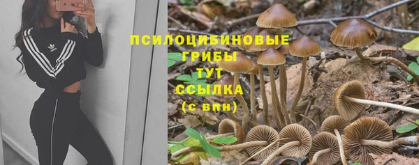 ALPHA PVP Аркадак