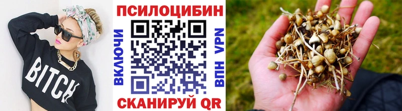 дарнет шоп  Слободской  Псилоцибиновые грибы Psilocybine cubensis 